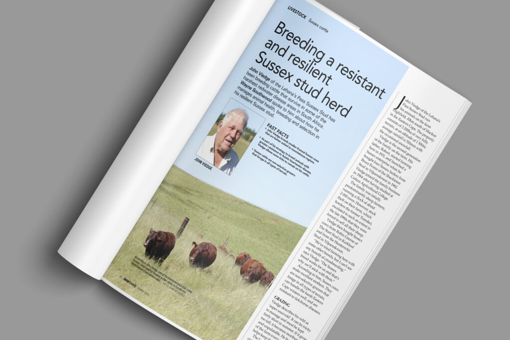 Breeding a resistant and resilient Sussex stud herd